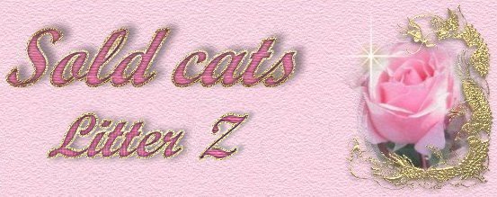Sold cats - Z